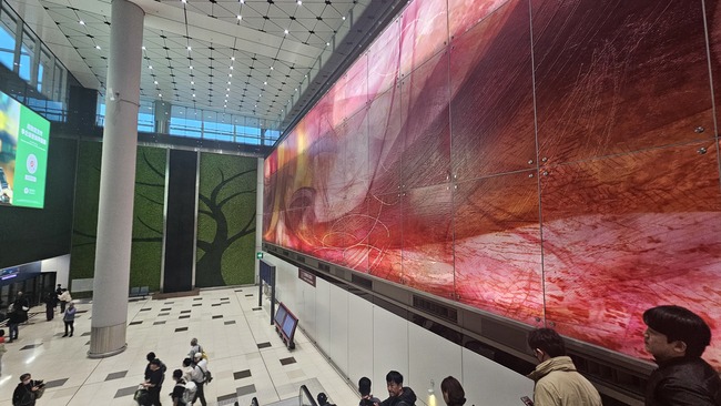 2295cffcffe25215020b695a55932b7b_1770856976_0949.jpg 2295cffcffe25215020b695a55932b7b_1770856976_0949.jpg