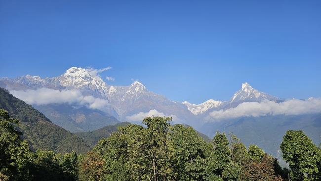 2295cffcffe25215020b695a55932b7b_1770860090_6213.jpg 2295cffcffe25215020b695a55932b7b_1770860090_6213.jpg