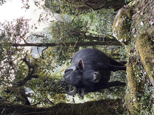 2295cffcffe25215020b695a55932b7b_1770860172_0887.jpeg 2295cffcffe25215020b695a55932b7b_1770860172_0887.jpeg