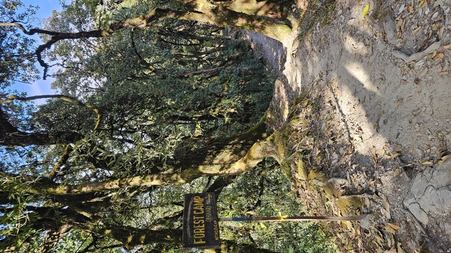 2295cffcffe25215020b695a55932b7b_1770862470_2304.jpg 2295cffcffe25215020b695a55932b7b_1770862470_2304.jpg