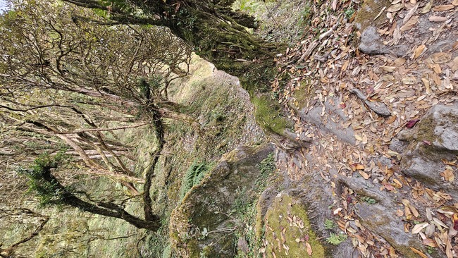 2295cffcffe25215020b695a55932b7b_1770862471_1105.jpg 2295cffcffe25215020b695a55932b7b_1770862471_1105.jpg