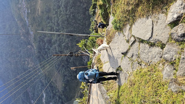 2295cffcffe25215020b695a55932b7b_1770862471_9636.jpeg 2295cffcffe25215020b695a55932b7b_1770862471_9636.jpeg