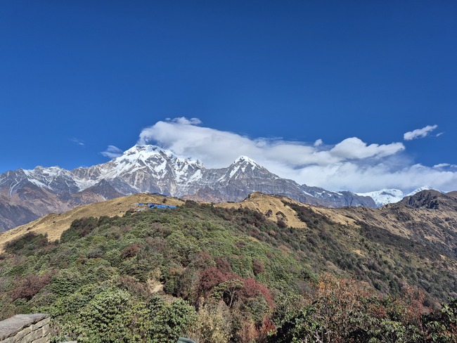 2295cffcffe25215020b695a55932b7b_1770863309_1792.jpeg 2295cffcffe25215020b695a55932b7b_1770863309_1792.jpeg