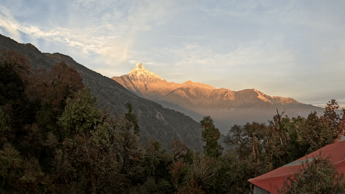 2295cffcffe25215020b695a55932b7b_1770863422_0474.gif 2295cffcffe25215020b695a55932b7b_1770863422_0474.gif