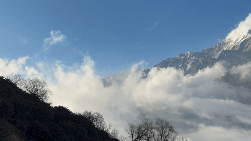 2295cffcffe25215020b695a55932b7b_1770866542_9113.gif 2295cffcffe25215020b695a55932b7b_1770866542_9113.gif