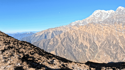 2295cffcffe25215020b695a55932b7b_1770866672_3804.gif 2295cffcffe25215020b695a55932b7b_1770866672_3804.gif