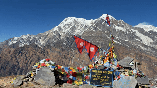 2295cffcffe25215020b695a55932b7b_1770866717_4496.gif 2295cffcffe25215020b695a55932b7b_1770866717_4496.gif