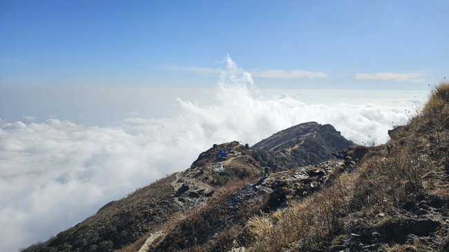 2295cffcffe25215020b695a55932b7b_1770872092_1406.jpeg 2295cffcffe25215020b695a55932b7b_1770872092_1406.jpeg