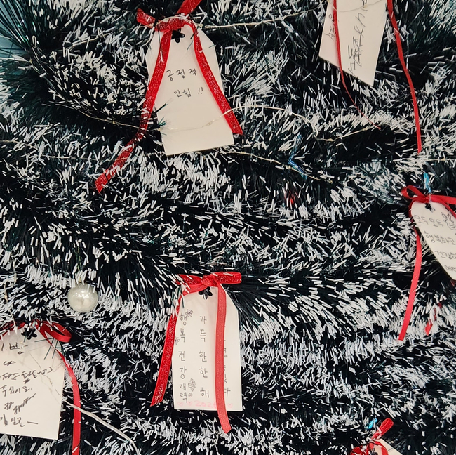 2295cffcffe25215020b695a55932b7b_1770872878_5206.jpg 2295cffcffe25215020b695a55932b7b_1770872878_5206.jpg