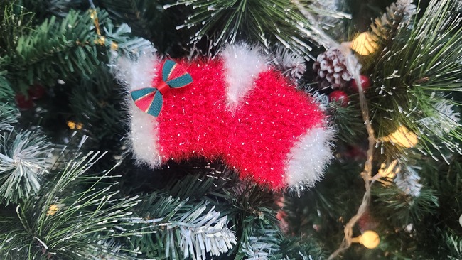 2295cffcffe25215020b695a55932b7b_1770873779_3314.jpg 2295cffcffe25215020b695a55932b7b_1770873779_3314.jpg