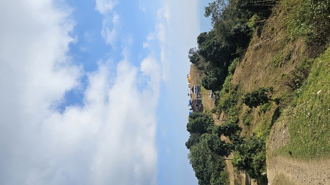 2295cffcffe25215020b695a55932b7b_1770875163_0218.jpeg 2295cffcffe25215020b695a55932b7b_1770875163_0218.jpeg