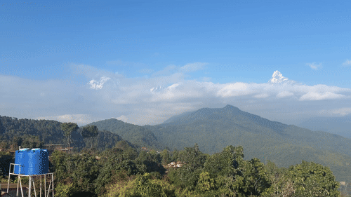 2295cffcffe25215020b695a55932b7b_1770875192_6253.gif 2295cffcffe25215020b695a55932b7b_1770875192_6253.gif