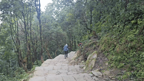 2295cffcffe25215020b695a55932b7b_1770875350_3576.gif 2295cffcffe25215020b695a55932b7b_1770875350_3576.gif