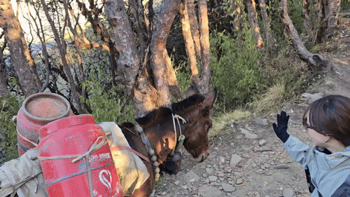 2295cffcffe25215020b695a55932b7b_1770875526_6353.gif 2295cffcffe25215020b695a55932b7b_1770875526_6353.gif