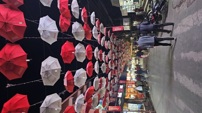 2295cffcffe25215020b695a55932b7b_1770876272_2653.jpeg 2295cffcffe25215020b695a55932b7b_1770876272_2653.jpeg