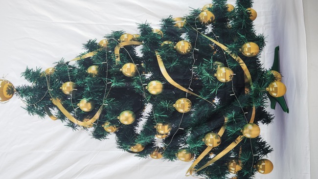 a528804eca9b7043a963daefa5fead30_1770776893_0072.jpg a528804eca9b7043a963daefa5fead30_1770776893_0072.jpg