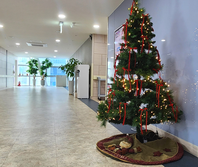 a528804eca9b7043a963daefa5fead30_1770777809_216.jpg a528804eca9b7043a963daefa5fead30_1770777809_216.jpg