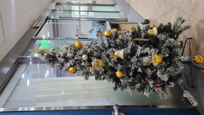 a528804eca9b7043a963daefa5fead30_1770778485_8199.jpg a528804eca9b7043a963daefa5fead30_1770778485_8199.jpg