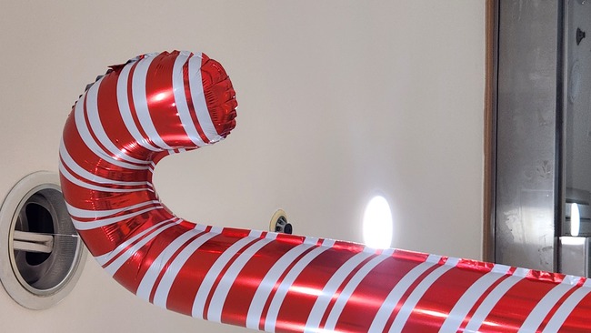 a528804eca9b7043a963daefa5fead30_1770778487_4546.jpg a528804eca9b7043a963daefa5fead30_1770778487_4546.jpg